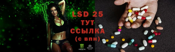 спайс Горняк