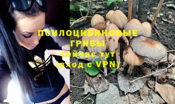 гашиш Горнозаводск