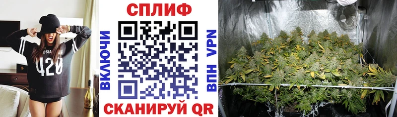 Шишки марихуана план  маркетплейс как зайти  Невинномысск 